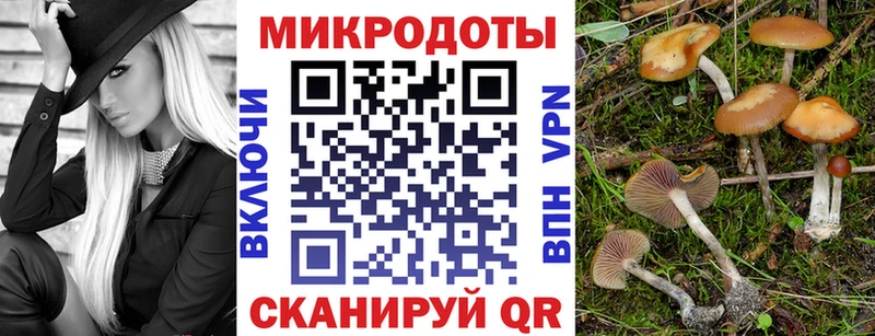 hydra ONION Сим Псилоцибиновые грибы Magic Shrooms