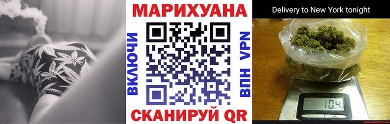 Конопля сатива Сим